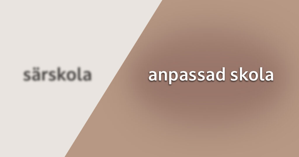 Namnbyte fr?n s?rskola till anpassad skola